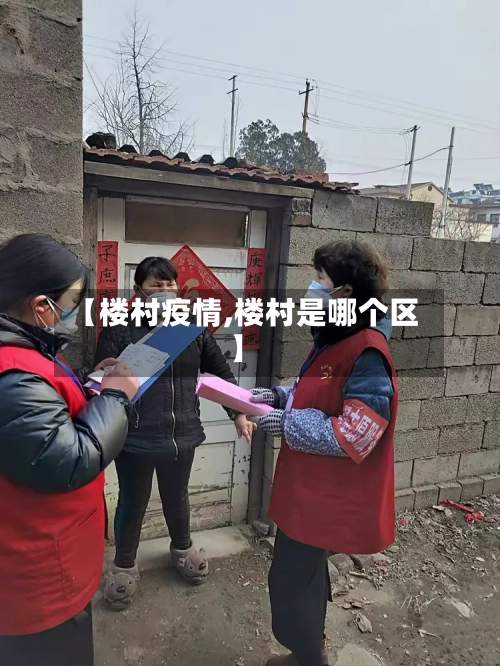 【楼村疫情,楼村是哪个区】-第3张图片