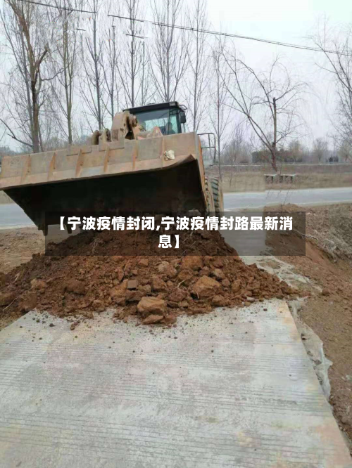 【宁波疫情封闭,宁波疫情封路最新消息】-第2张图片