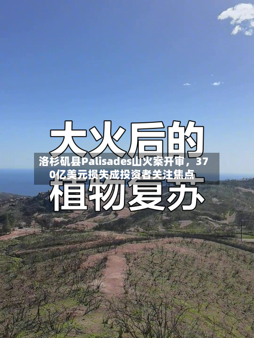 洛杉矶县Palisades山火案开审	，370亿美元损失成投资者关注焦点-第3张图片