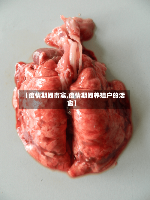 【疫情期间畜禽,疫情期间养殖户的活禽】-第2张图片