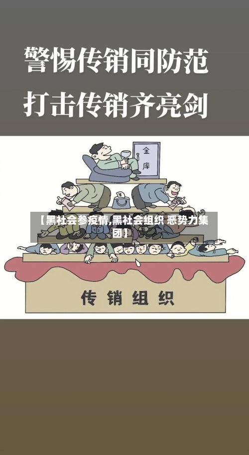 【黑社会参疫情,黑社会组织 恶势力集团】-第3张图片