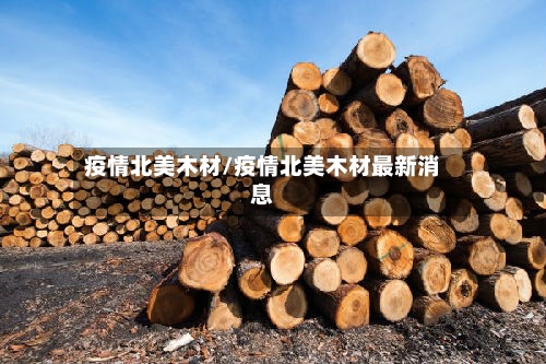 疫情北美木材/疫情北美木材最新消息