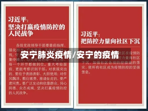 安宁肺炎疫情/安宁的疫情