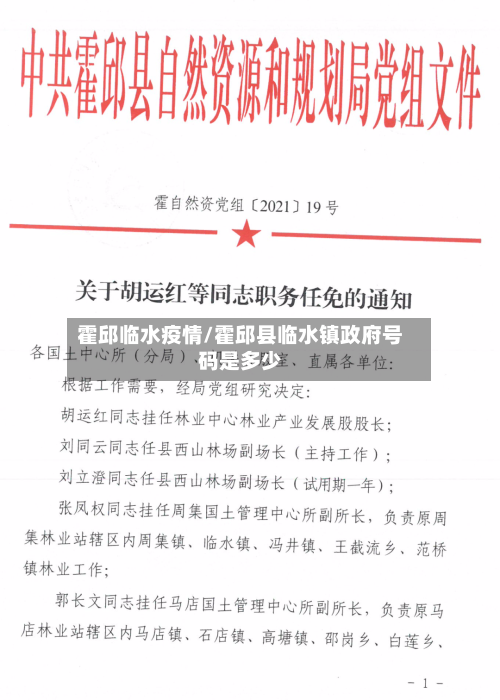 霍邱临水疫情/霍邱县临水镇政府号码是多少-第3张图片