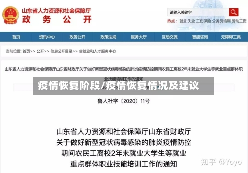疫情恢复阶段/疫情恢复情况及建议