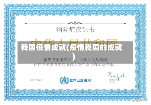 我国疫情成就(疫情我国的成就)-第2张图片