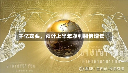 千亿龙头，预计上半年净利翻倍增长-第3张图片