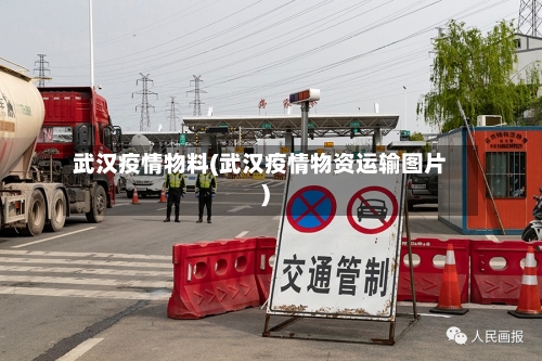 武汉疫情物料(武汉疫情物资运输图片)-第2张图片